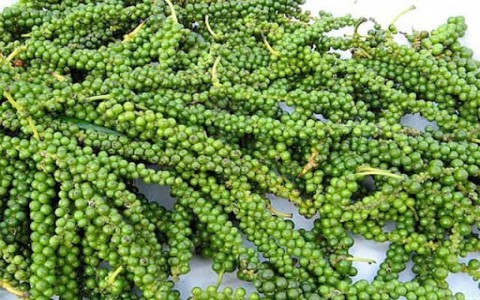 Giá tiêu hôm nay 22/9: Nhích nhẹ tăng 500 đồng/kg tại Tây Nguyên và miền Nam